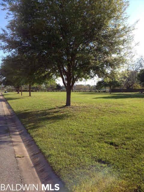 This lot is directly across the road from the expansive common areas. This view is looking to the north, from the road in front of lot.