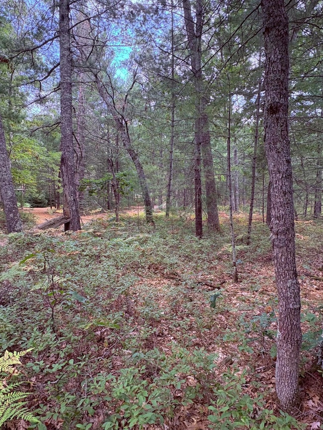 00 S Shady Grove Dr, Lake Township, MI 49304 - photo 3