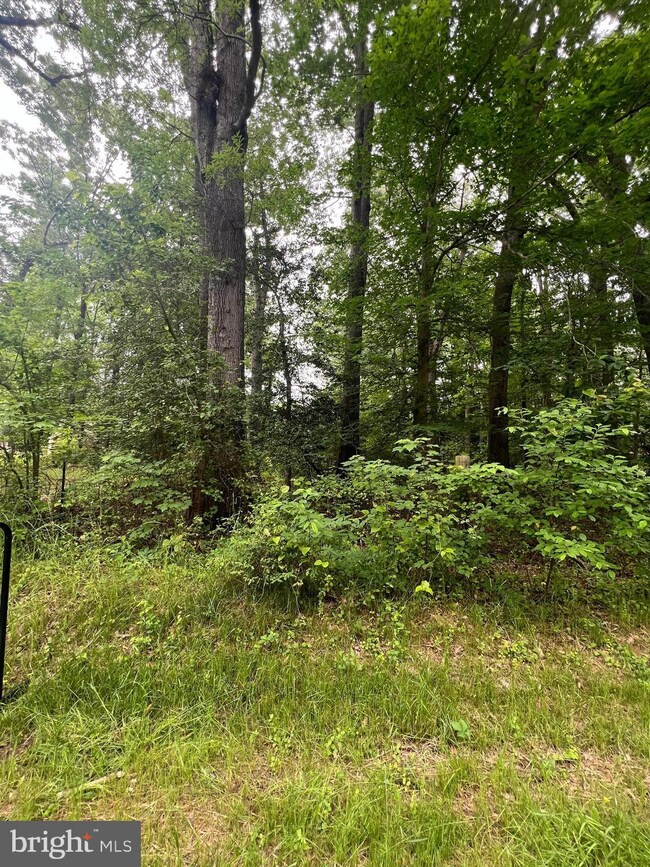 0 Albrough Blvd unit VAWE2006714, Colonial Beach, VA 22443 - photo 2