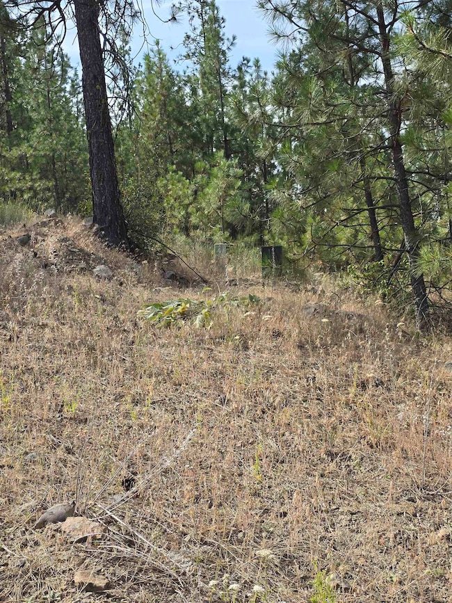 6499 Syringa Way, Suncrest, WA 99026 - photo 2