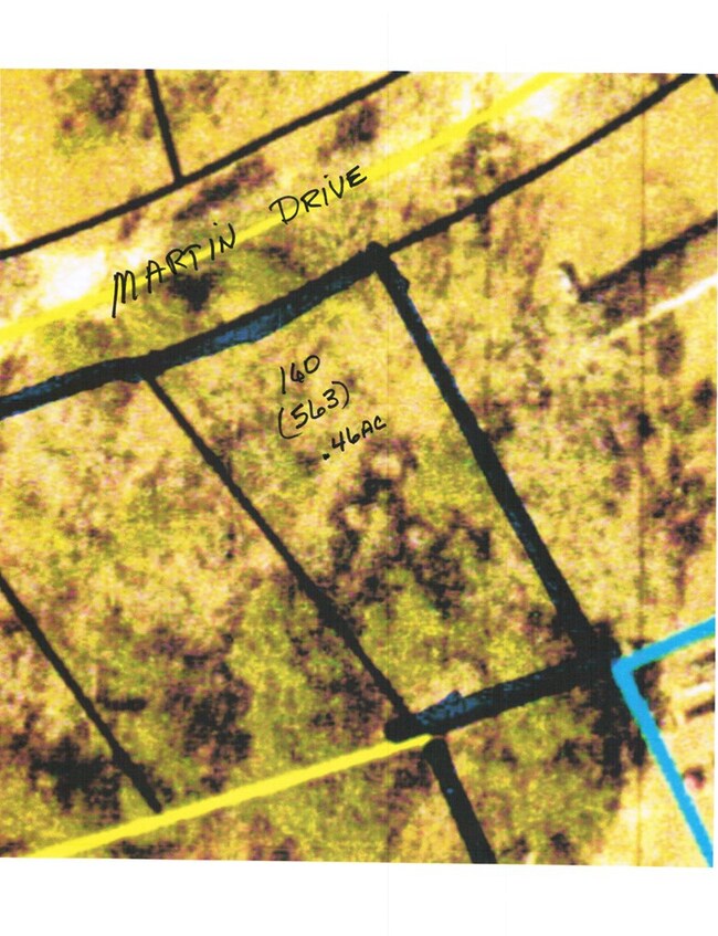 lot 563, Martin Dr, Donalsonville, GA 39845 - photo 2