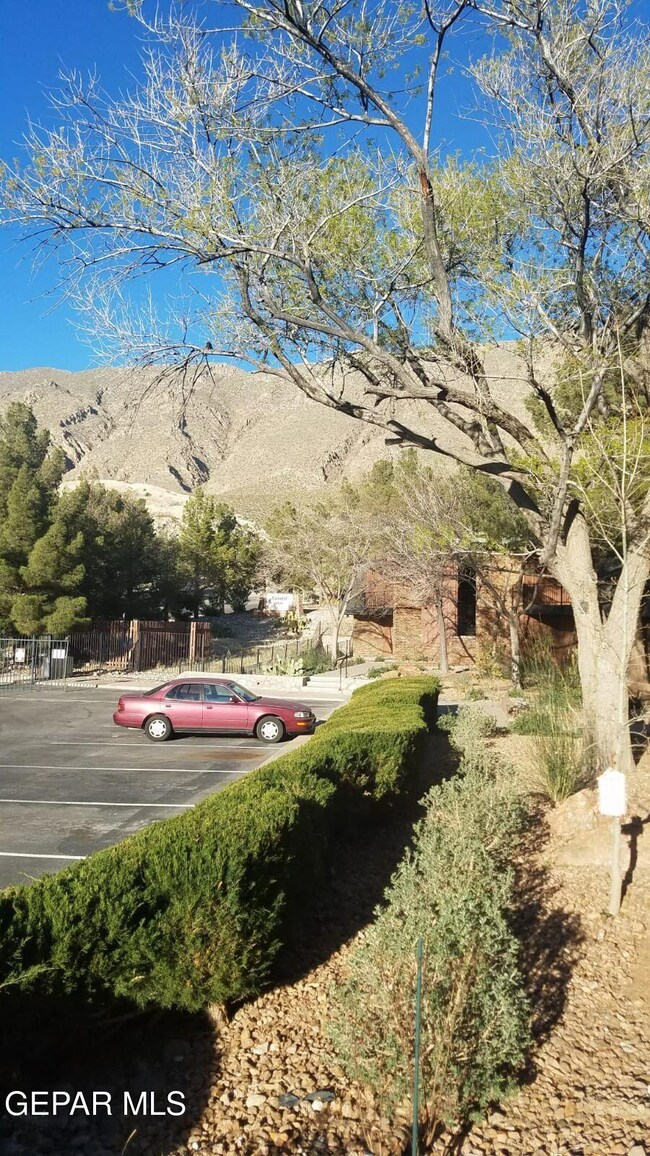 4800 N Stanton St unit 9, El Paso, TX 79902 - photo 6