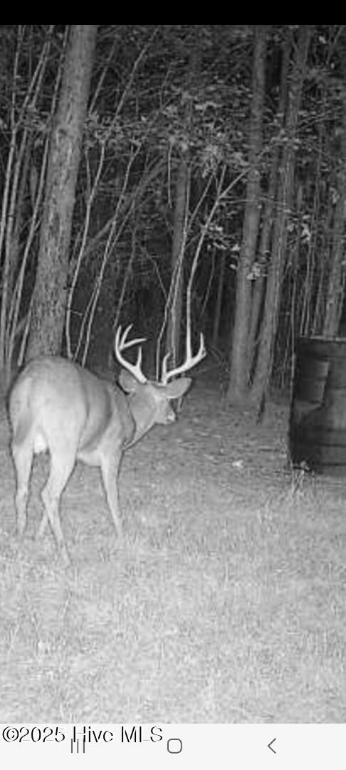 0 Yeopim unit 100484918, Edenton, NC 27932 - photo 3