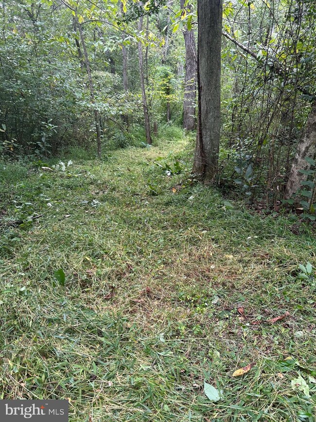 0 Luttrellville Ln unit VARV2000552, Farnham, VA 22460 - photo 5