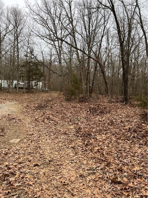 14200 Sugar Mountain Rd, West Fork, AR 72774 - photo 6