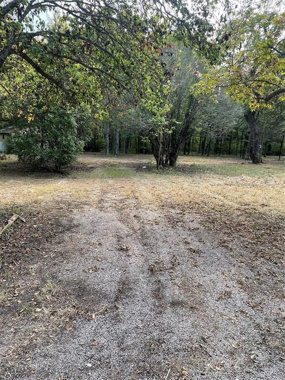 336 Mano Ln, Sadler, TX 76264 - photo 2