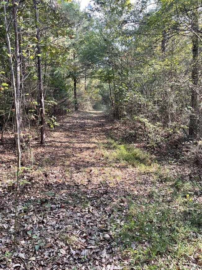 0000 Reynoldsburg Rd, Springville, TN 38256 - photo 2