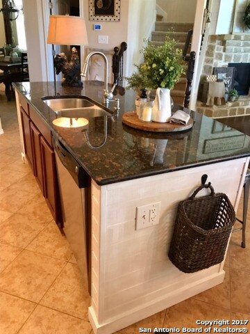 3747 Ox-Eye Daisy, San Antonio, TX 78261 - photo 7