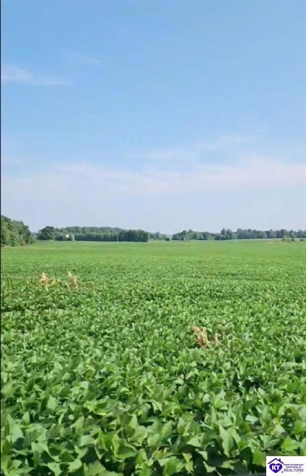 7585 - Tract 4 Sonora Rd, Sonora, KY 42776 - photo 4