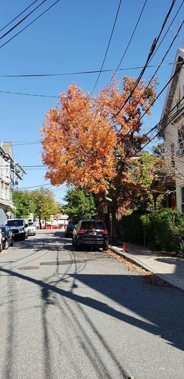 15 Carlton St unit 3, Somerville, MA 02143 - photo 7