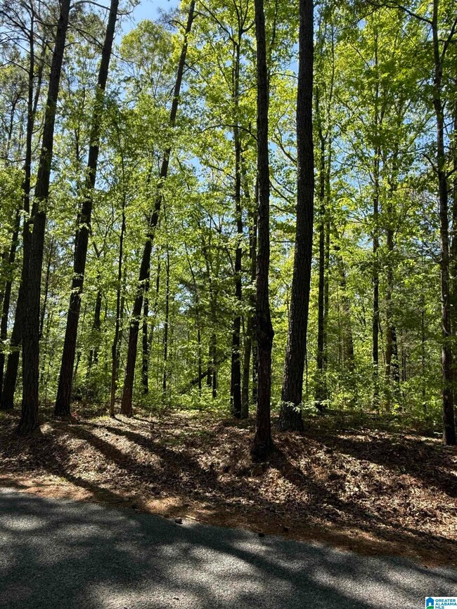 0 Vick Ln unit 21416150, Sylacauga, AL 35151 - photo 2