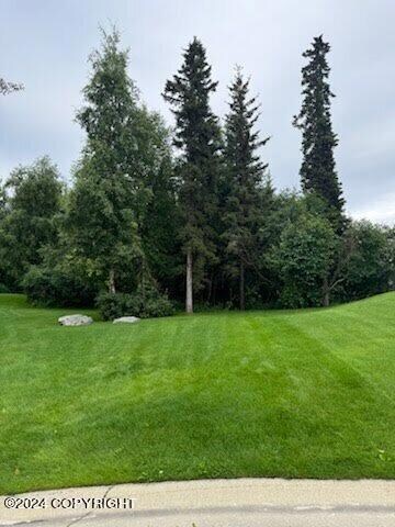 3922 Stargazer Cir, Anchorage, AK 99516 - photo 5