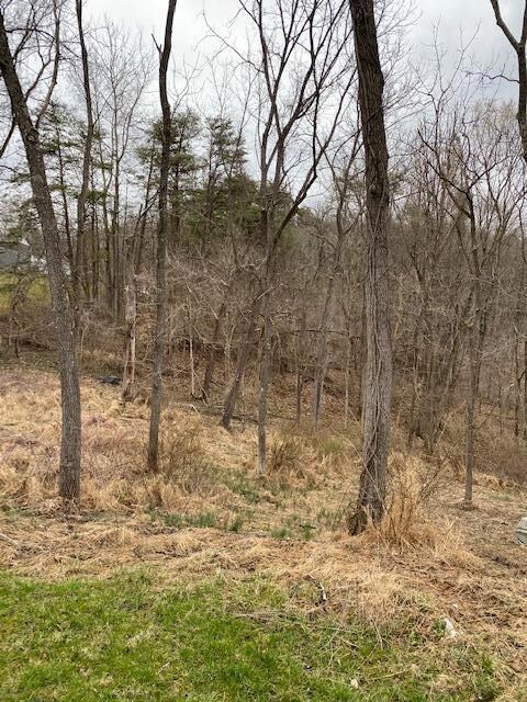 28791 Logan Horns Mill Rd, Sugar Grove, OH 43155 - photo 3