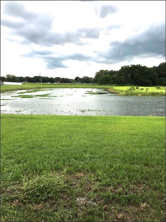 Great View of the Pond