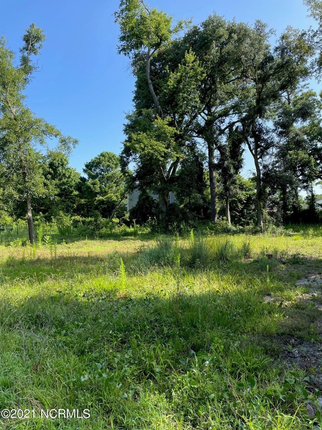 207 Oak Outlook 2