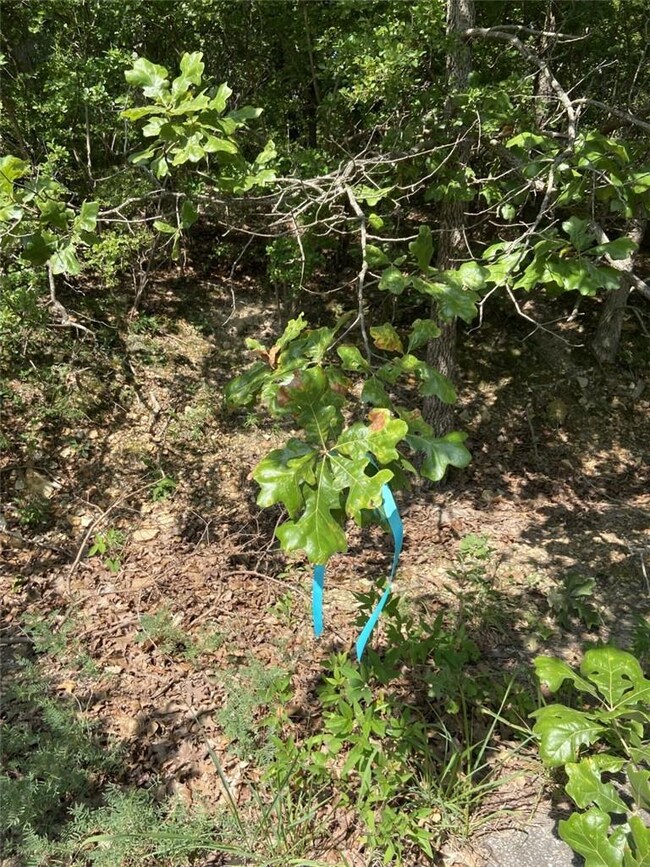 0 Carsaig Cir unit 1189228, Bella Vista, AR 72715 - photo 4