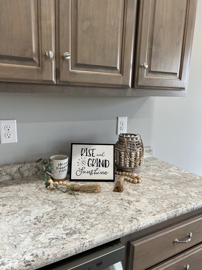 cabinet stain color, wall paint color, counter tops