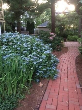 147 Highland Ave, Arlington, MA 02476 - photo 5