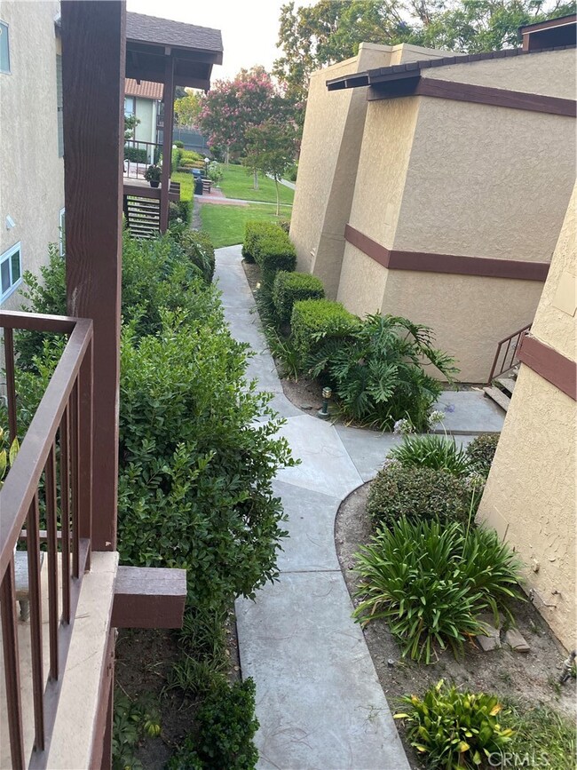 View From Front Door