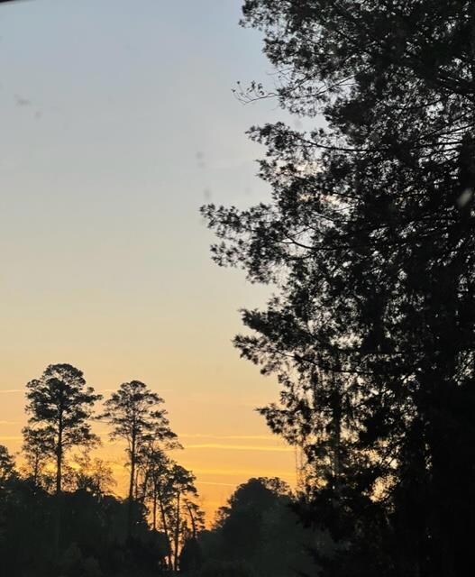 006D 049 Scenic Route, Cordele, GA 31015 - photo 2