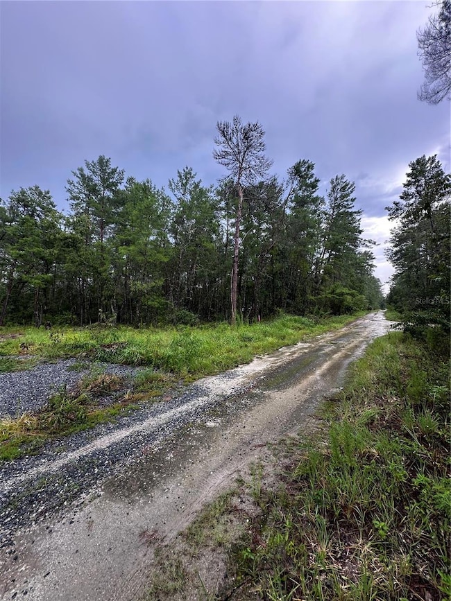 0 NE 112th Ct, Ocala, FL 32134 - photo 2