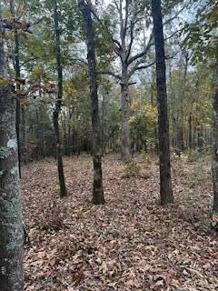 EBH A4-1A Wendell Ln unit EBH A4-1A, Wagener, SC 29164 - photo 5