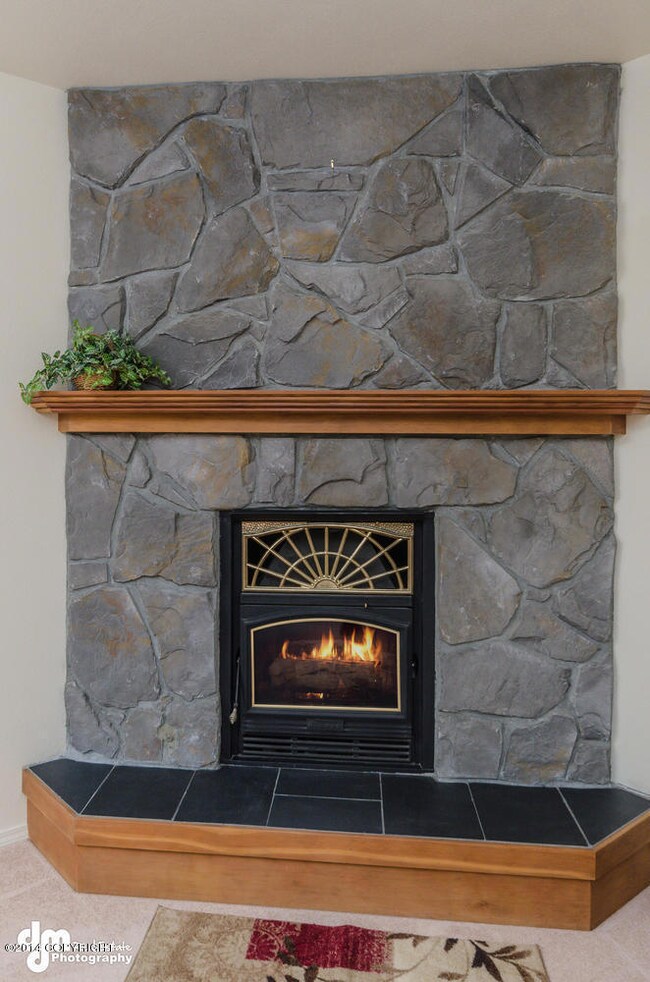 Fireplace