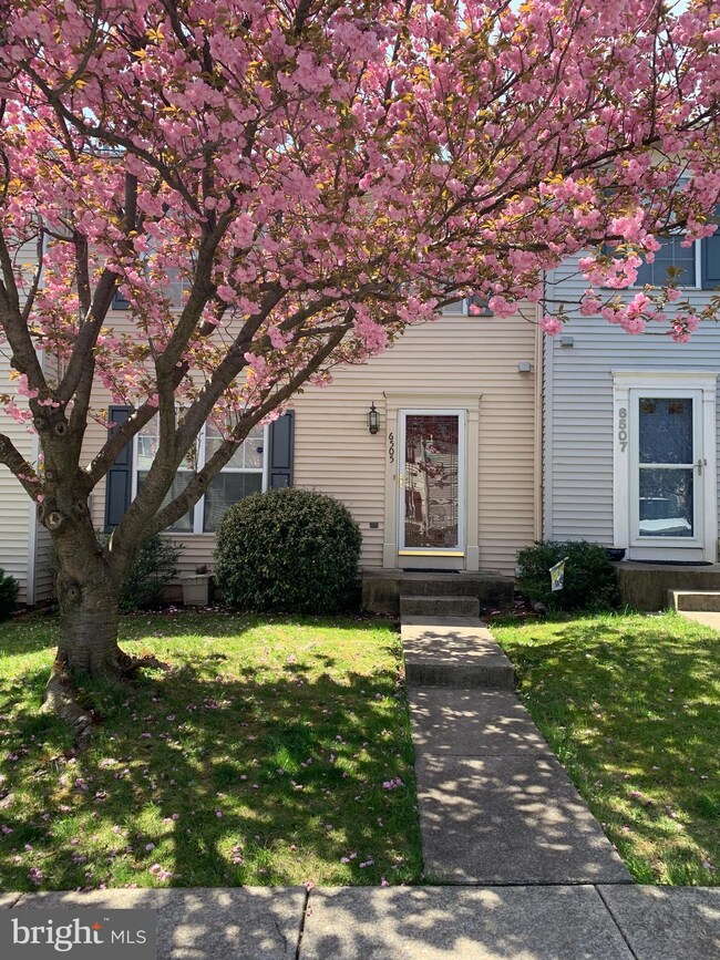 6505 Mallery Ct, Frederick, MD 21703 - photo 2