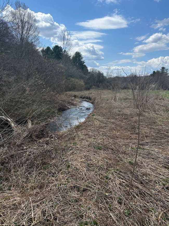 0 Houghtaling Hollow Rd unit 11452107, East Meredith, NY 13757 - photo 5