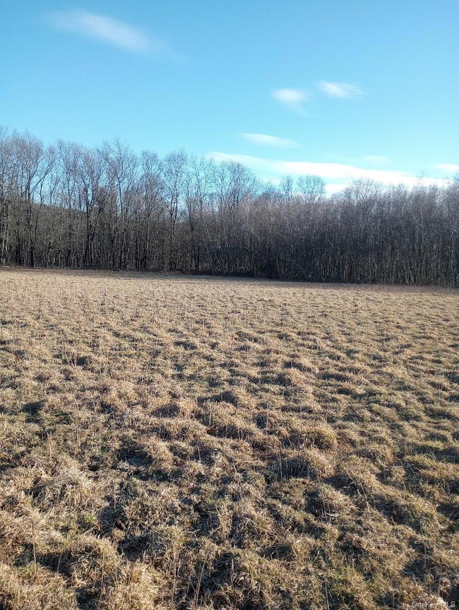 Myers RD. Westtown, Myers Rd, Minisink, NY 10998 - photo 6