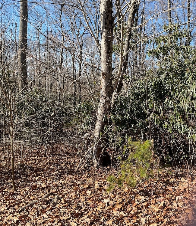 TBD W Pheasant Chase, Fancy Gap, VA 24053 - photo 4