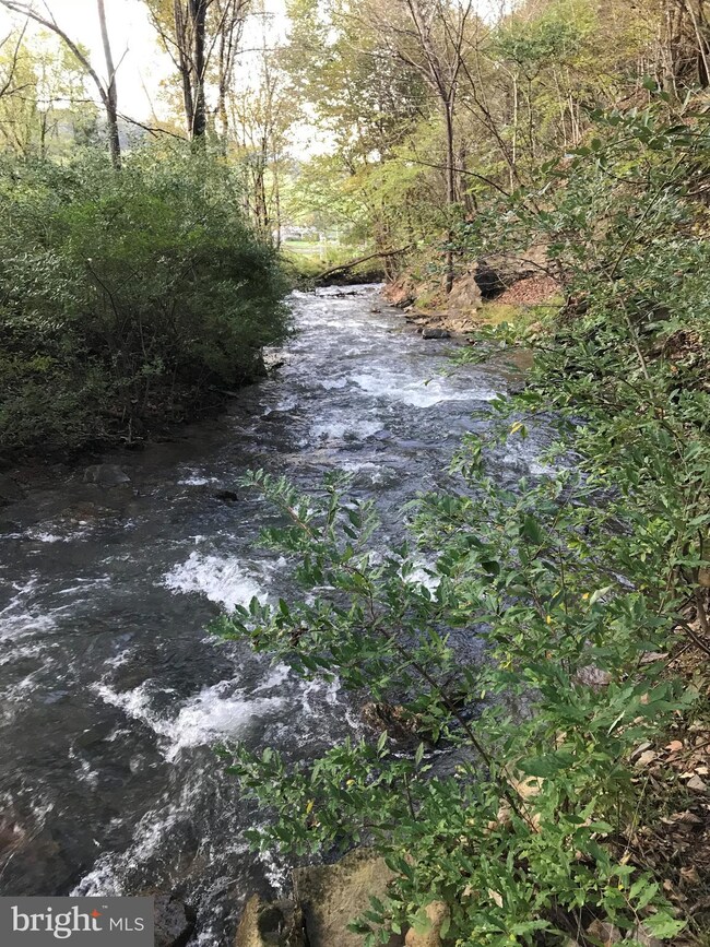 0 Reeds Creek Road (Cty Rt 10 1), Franklin, WV 26807 - photo 3