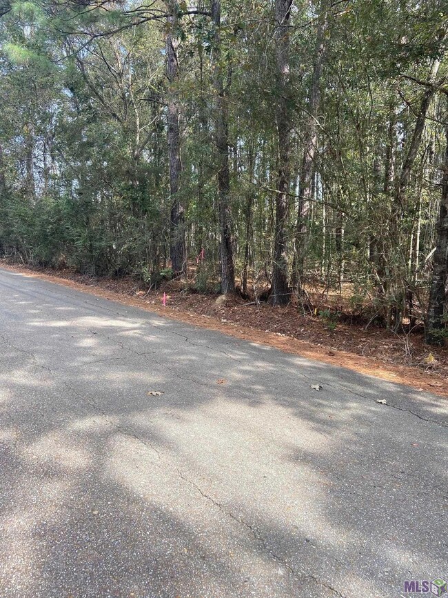 0 Lewis Rd unit 2022016915, Maurepas, LA 70449 - photo 4