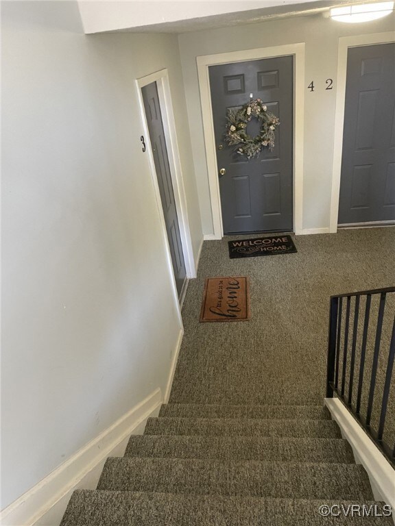 Staircase with carpet flooring