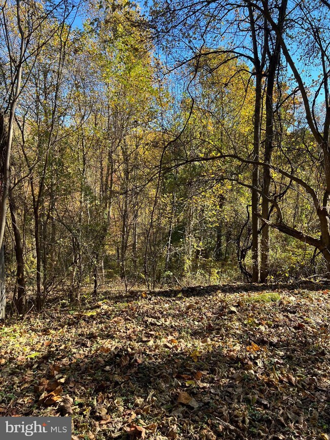 120 Snowbird Ct, Front Royal, VA 22630 - photo 3