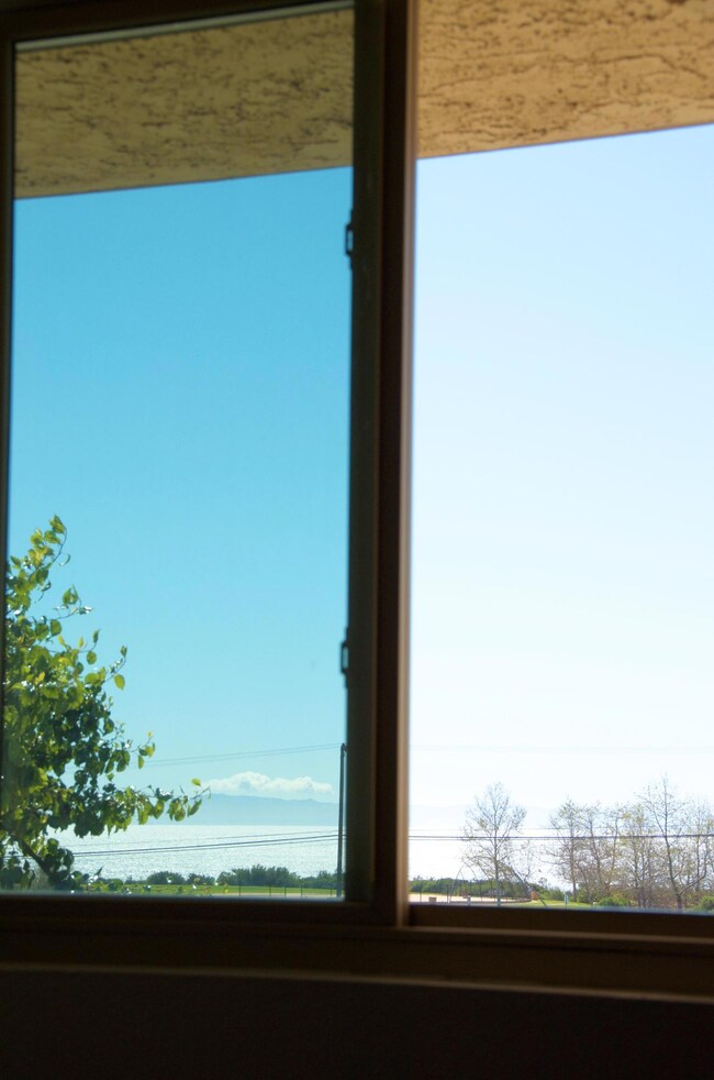 window_view1