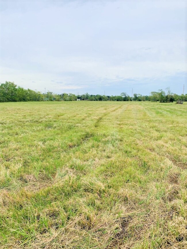 001 County Road 168, Alvin, TX 77511 - photo 5