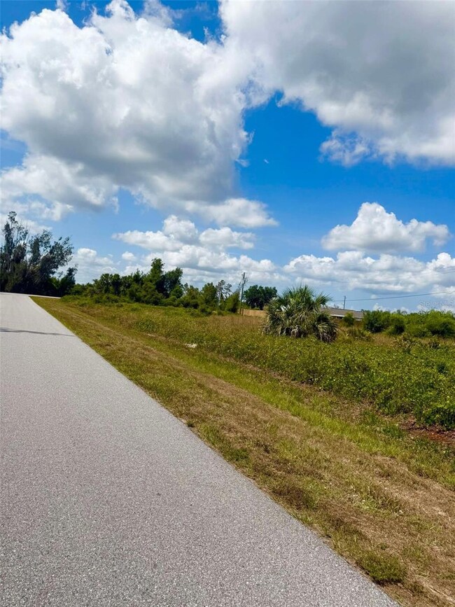 29276 Meadowlark Ln, Punta Gorda, FL 33982 - photo 5