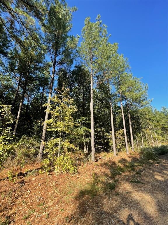 758 Timber Creek Trails South XI, Broken Bow, OK 74728 - photo 4