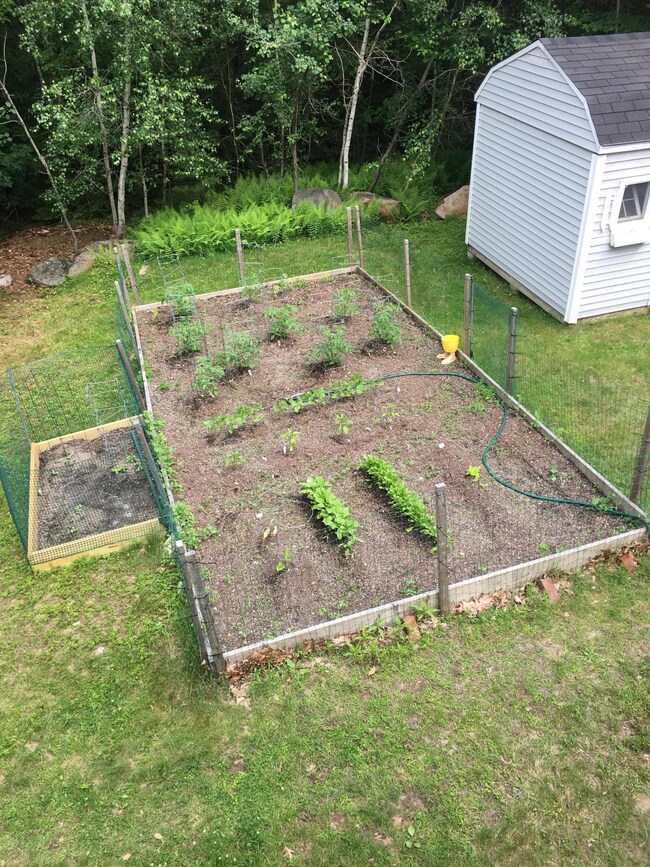 171BelleMarshGarden