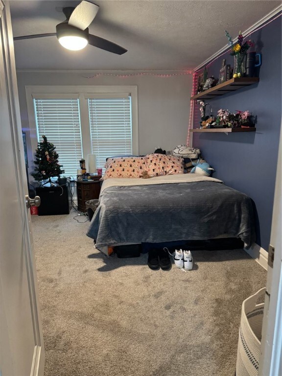 1207 N Mercer St, New Castle, PA 16105 - photo 5