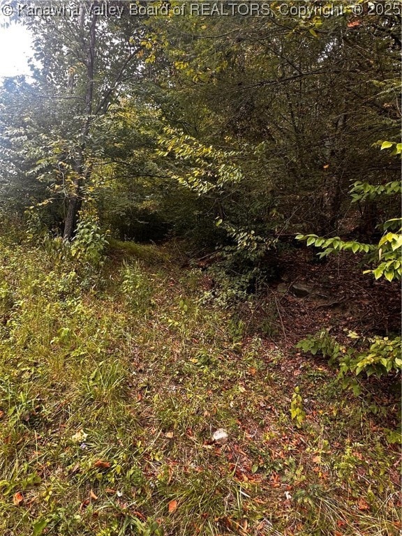 0-1 Dalton Branch Little Harts Creek Rd, Harts, WV 25524 - photo 2