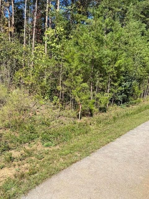 20A Lake Forest Reserve Dr, Bronston, KY 42518 - photo 2