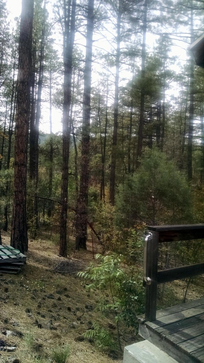 6456 W Kenny Cir, Pine, AZ 85544 - photo 2