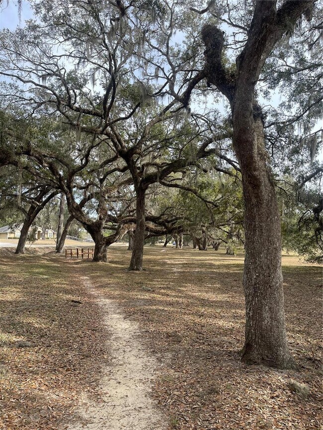 Walking Path