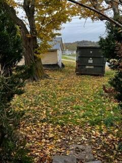 IMG_0258 - Copy