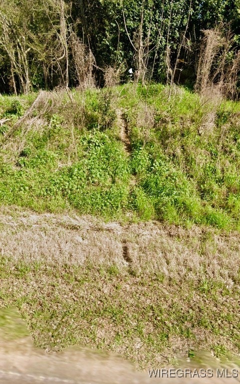 1040 County Road 665, Chancellor, AL 36316 - photo 2