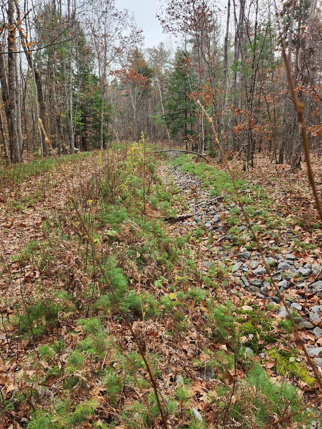 32 Bowen School Rd, Deering, NH 03244 - photo 4