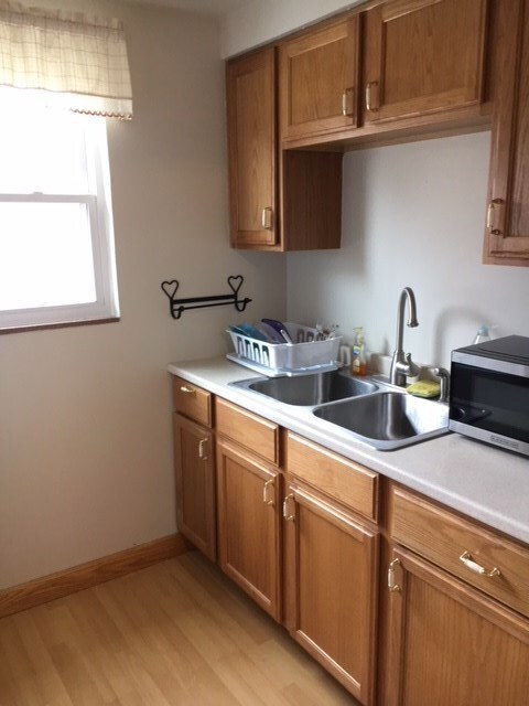 Double bowl stainless steel sink and nice counter top.