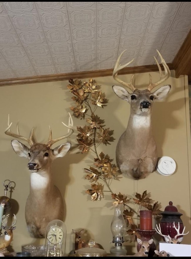 2152 Dove Rd, Gepp, AR 72538 - photo 2